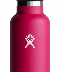 Bouteille Hydro Flask Standard Mouth 21 Oz (621 Ml)