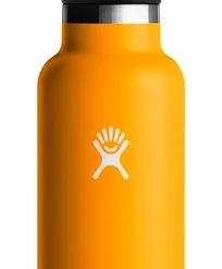 Bouteille Hydro Flask Standard Mouth Flex Straw Cap 21 Oz (621 Ml)