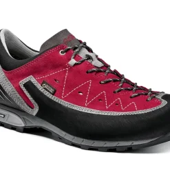 Chaussures Pour Femme Asolo Apex GV ML