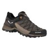 Chaussures Pour Homme Salewa MTN Trainer Lite GTX FW22