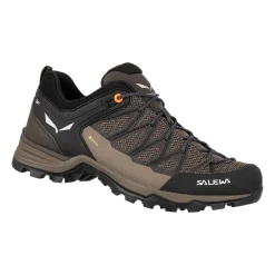 Chaussures Pour Homme Salewa MTN Trainer Lite GTX FW22