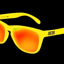 Lunettes De Soleil Neon Icon ICBR X8