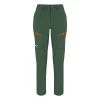 Pantalon Pour Femme Salewa Puez DST Raw Green