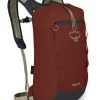 Sac à Dos OSPREY Daylite Cinch Pack Acron Red SS22 -Équipement outdoor boutique sac a dos osprey daylite cinch pack acron red ss22 166588 650x650 1