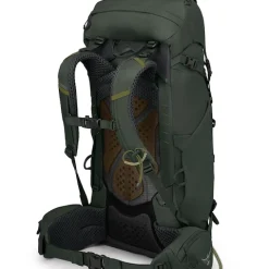Sac à Dos OSPREY Kestrel 38 Bonsai Green L/XL 10 Sac à Dos OSPREY Kestrel 38 Bonsai Green L/XL -Équipement outdoor boutique sac a dos osprey kestrel 38 bonsai green l xl 1376597 650x650 g2