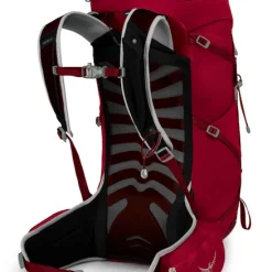 Sac à Dos OSPREY Talon 33 III Cosmic Red -Équipement outdoor boutique sac a dos osprey talon 33 iii cosmic red 166546 650x650 g3