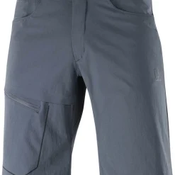 Short Pour Homme Salomon Wayfarer Shorts Ebony