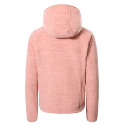 Sweat-shirt Pour Femme The North Face NIKSTER FULL ZIP HOODIE W FW2021 -Équipement outdoor boutique sweat shirt pour femme the north face nikster full zip hoodie w fw2021 139690 650x650 g2