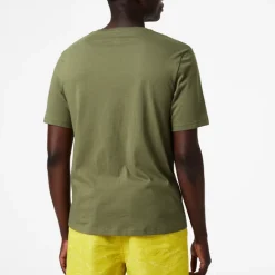 T-shirt Pour Homme Helly Hansen F2F Organic Cotton T-Shirt Lav Green -Équipement outdoor boutique t shirt pour homme helly hansen f2f organic cotton t shirt lav green 162901 650x650 g3