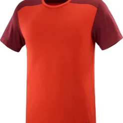 T-shirt Pour Homme Salomon Essential Colorblock Fiery Red SS22